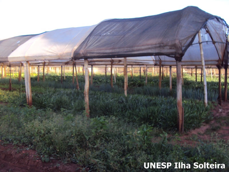 aula_15ago_2011 (12).JPG